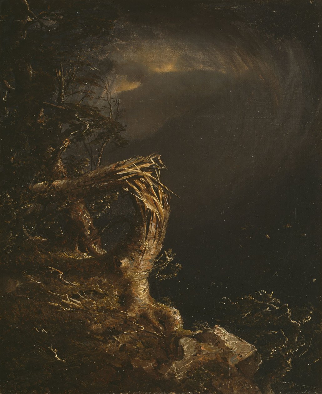 Felrobbantott fa alkotó: Jasper Francis Cropsey