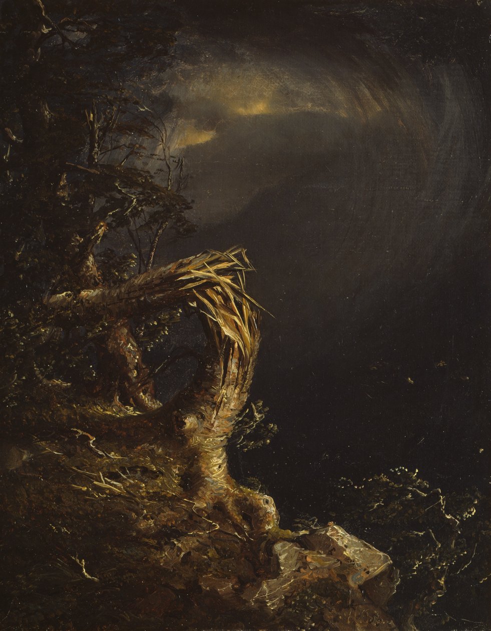 Felrobbantott fa, 1850. alkotó: Jasper Francis Cropsey