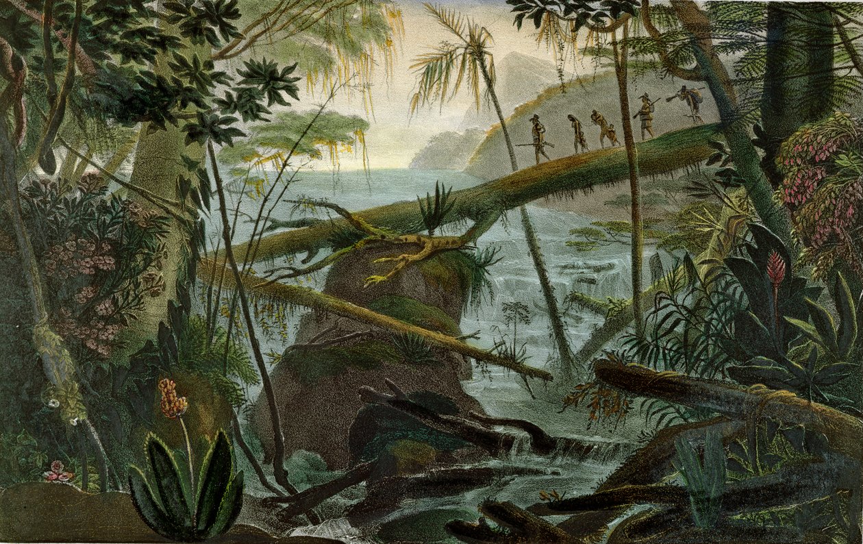 Indiánok, akik kidőlt fatörzset használnak a Rio Paraiba do Sul átkeléséhez, illusztráció Jean-Baptiste Debret (1768-1848) „Voyage Pittoresque et Historique au Bresil” című könyvéből, 1839-ben Párizsban megjelent (színes) alkotó: Jean Baptiste Debret
