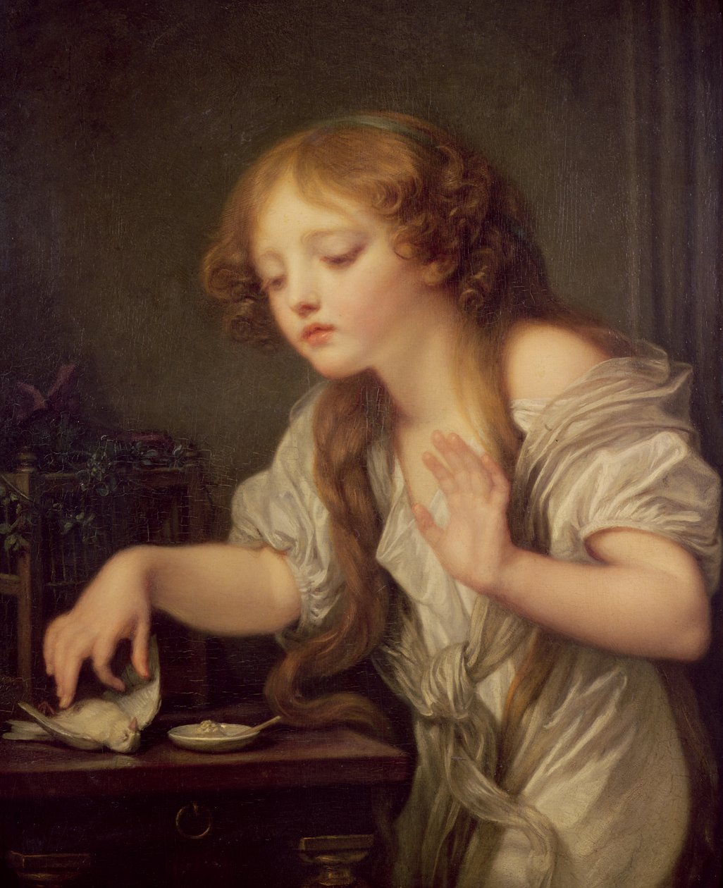 A döglött madár alkotó: Jean Baptiste Greuze