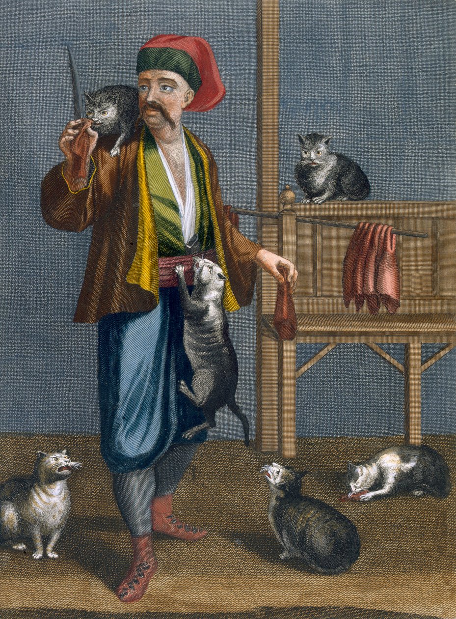 Macskatoll, lemez Charles de Ferriol "A Levante különböző nemzeteit ábrázoló száz metszet gyűjteményéből", metszette Jean-Baptiste Haussard (1678-1749), 1707-08 (színezett e alkotó: Jean Baptiste Vanmour