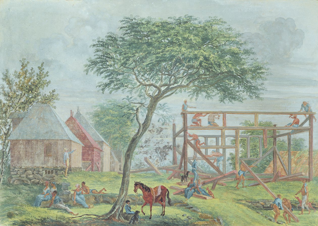 Ház építése az Ile de la Reunionon, 1810-1815 körül alkotó: Jean Joseph Patu de Rosemont