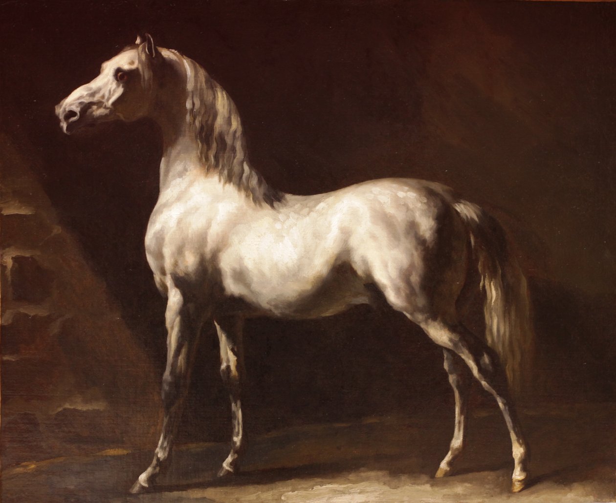 Szürke-fehér arab ló alkotó: Theodore Gericault