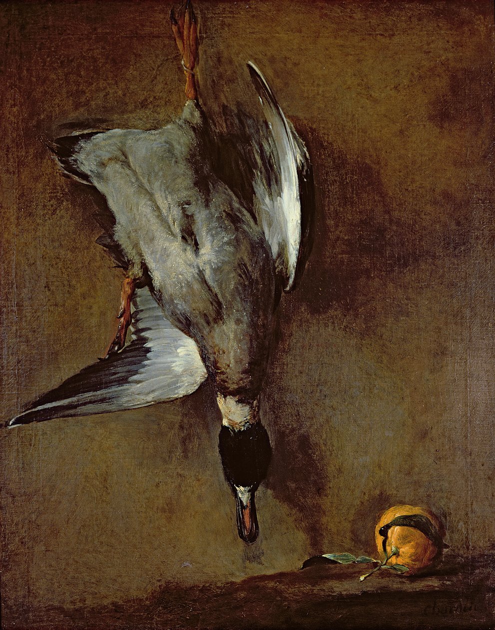 Egy tőkés réce lóg a falon egy sevillai narancs, 1720-30 olaj n vászon) alkotó: Jean Baptiste Simeon Chardin