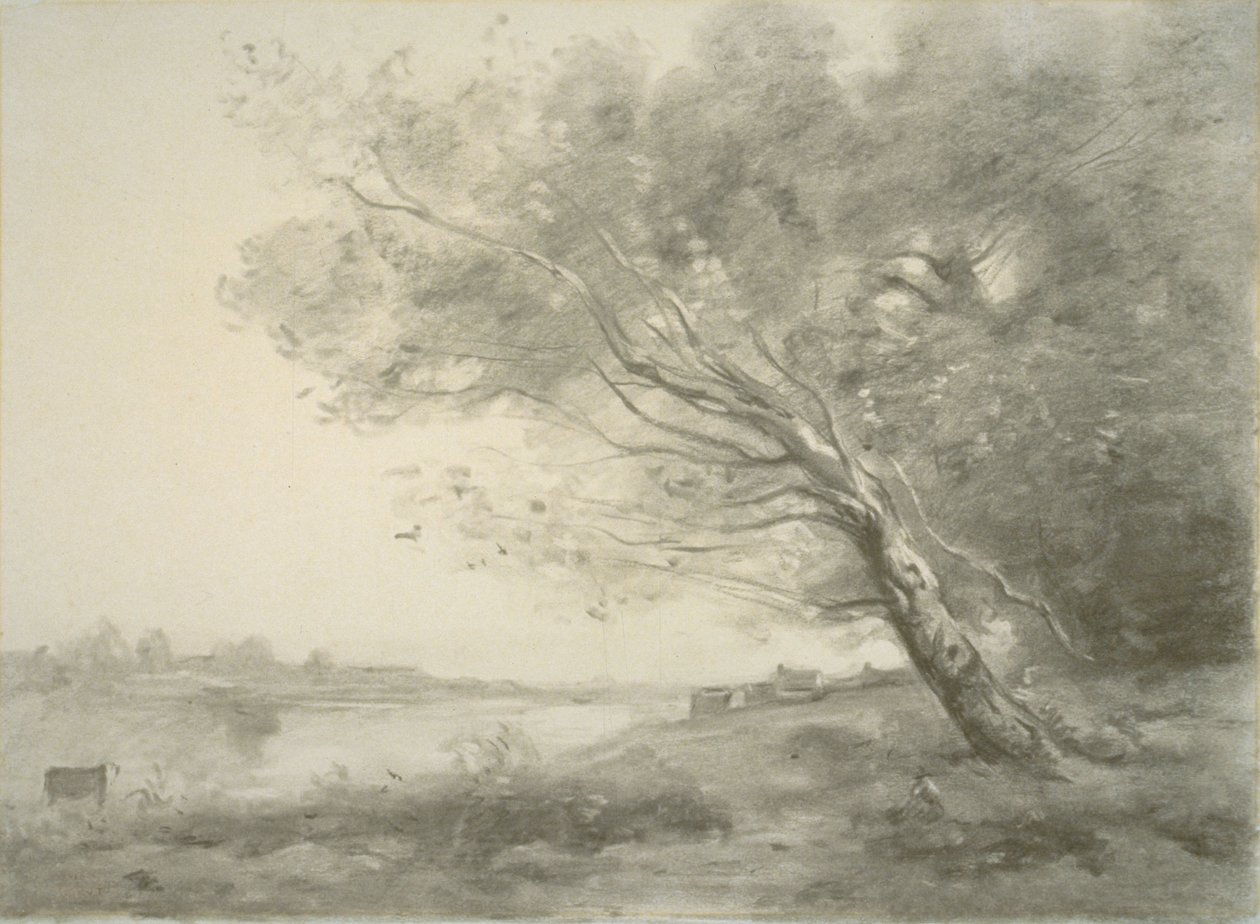 Hajlított fa a víz mellett alkotó: Jean-Baptiste-Camille Corot