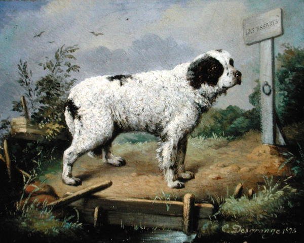 Új-Fundland egy rakparton alkotó: Jean Baptiste Desgrange