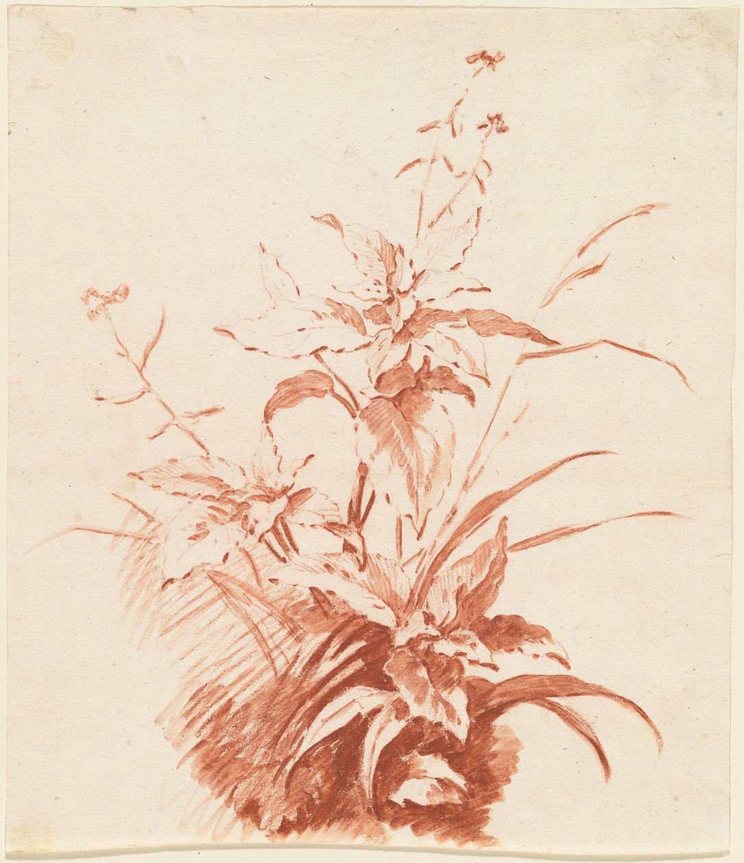 Blühende Pflanze mit Gras alkotó: Jean-Baptiste Huet