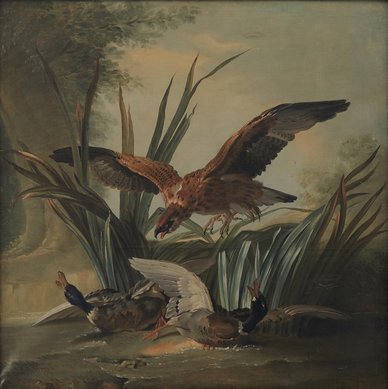 Egy Sólyom ütöget egy pár kacsán alkotó: Jean-Baptiste Oudry