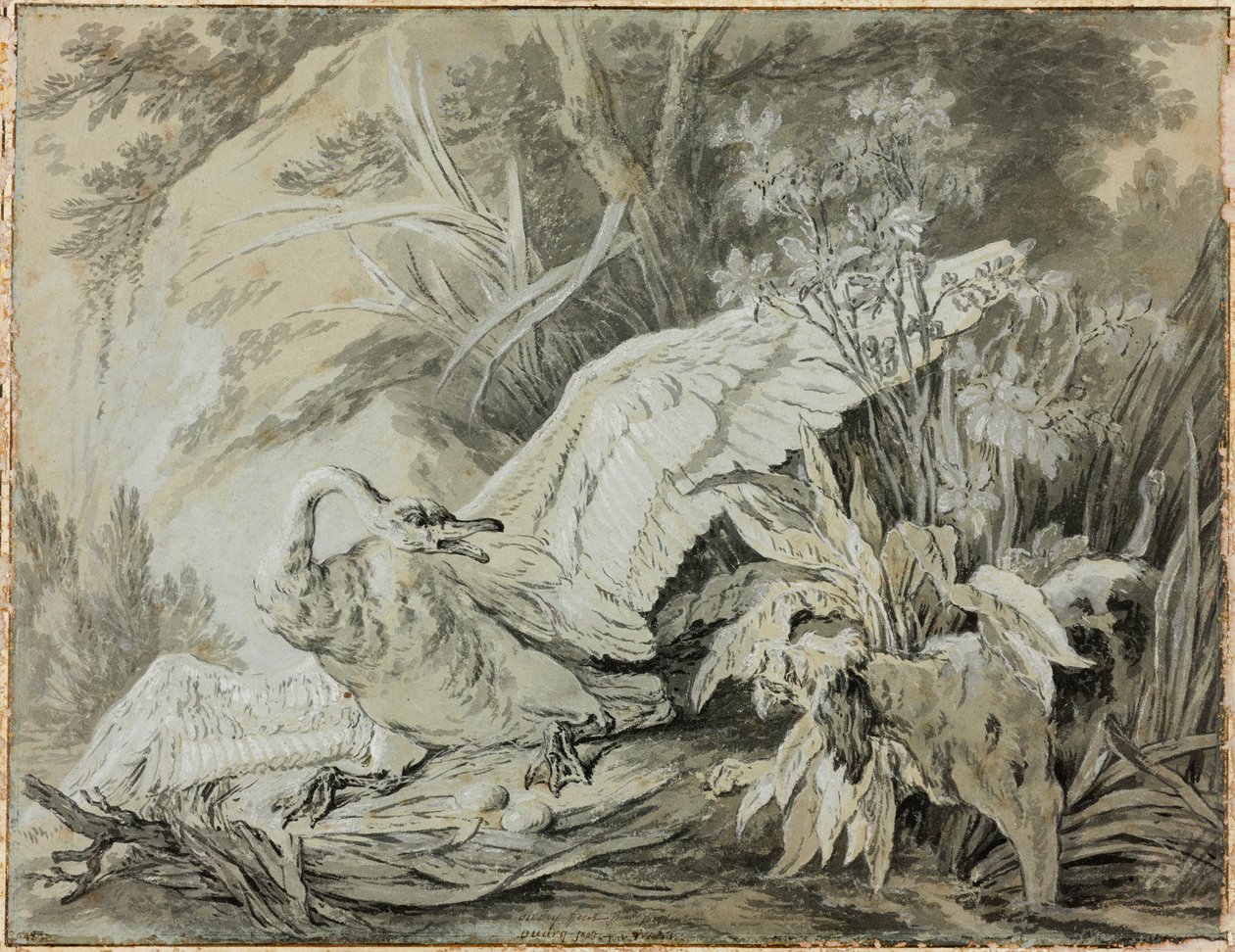 Egy vadhattyút megtámadott egy kutya alkotó: Jean-Baptiste Oudry