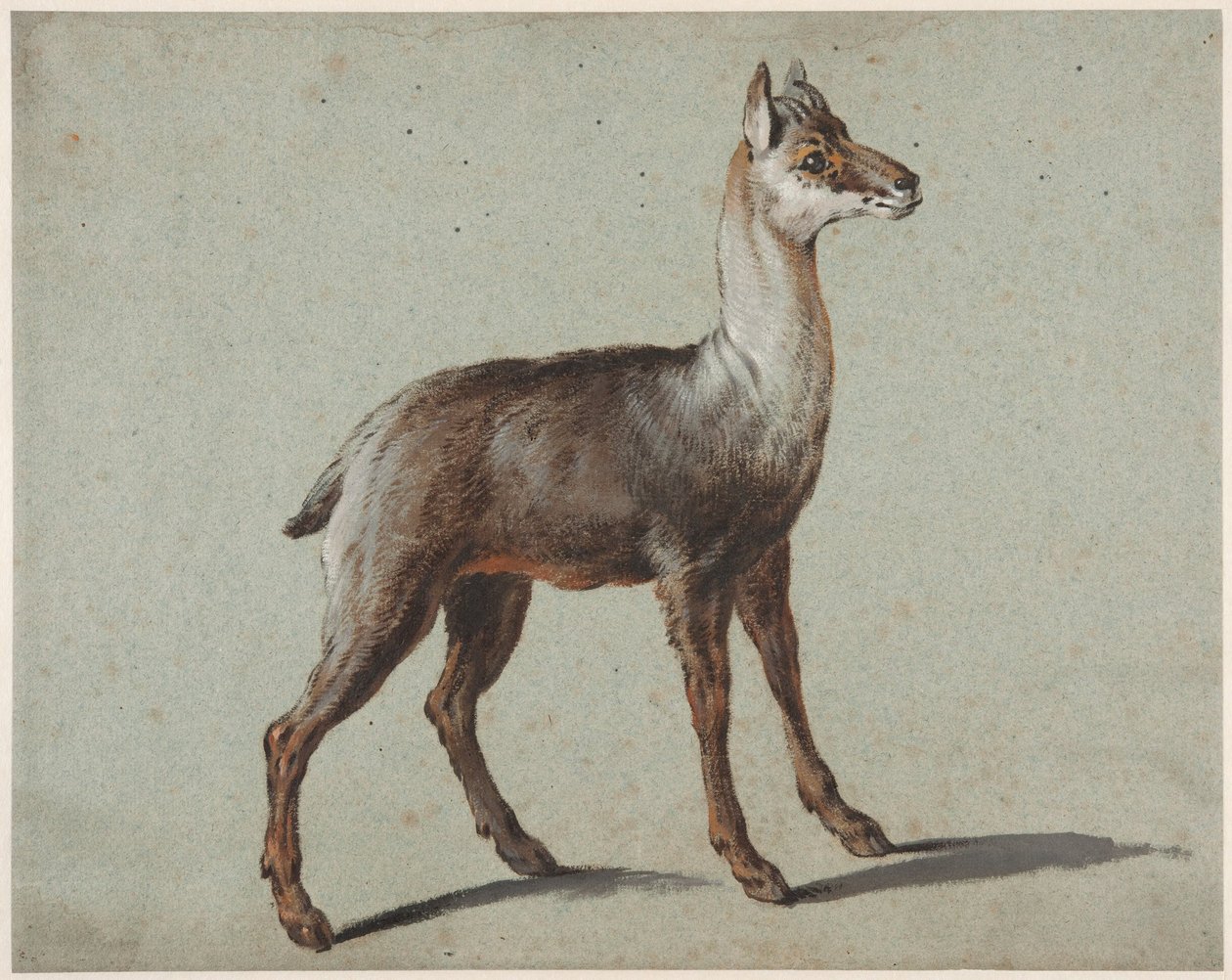 Zerge alkotó: Jean-Baptiste Oudry