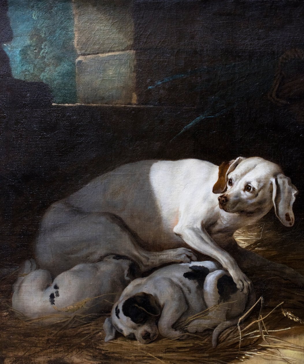 Kutya szoptatja kicsinyét alkotó: Jean-Baptiste Oudry