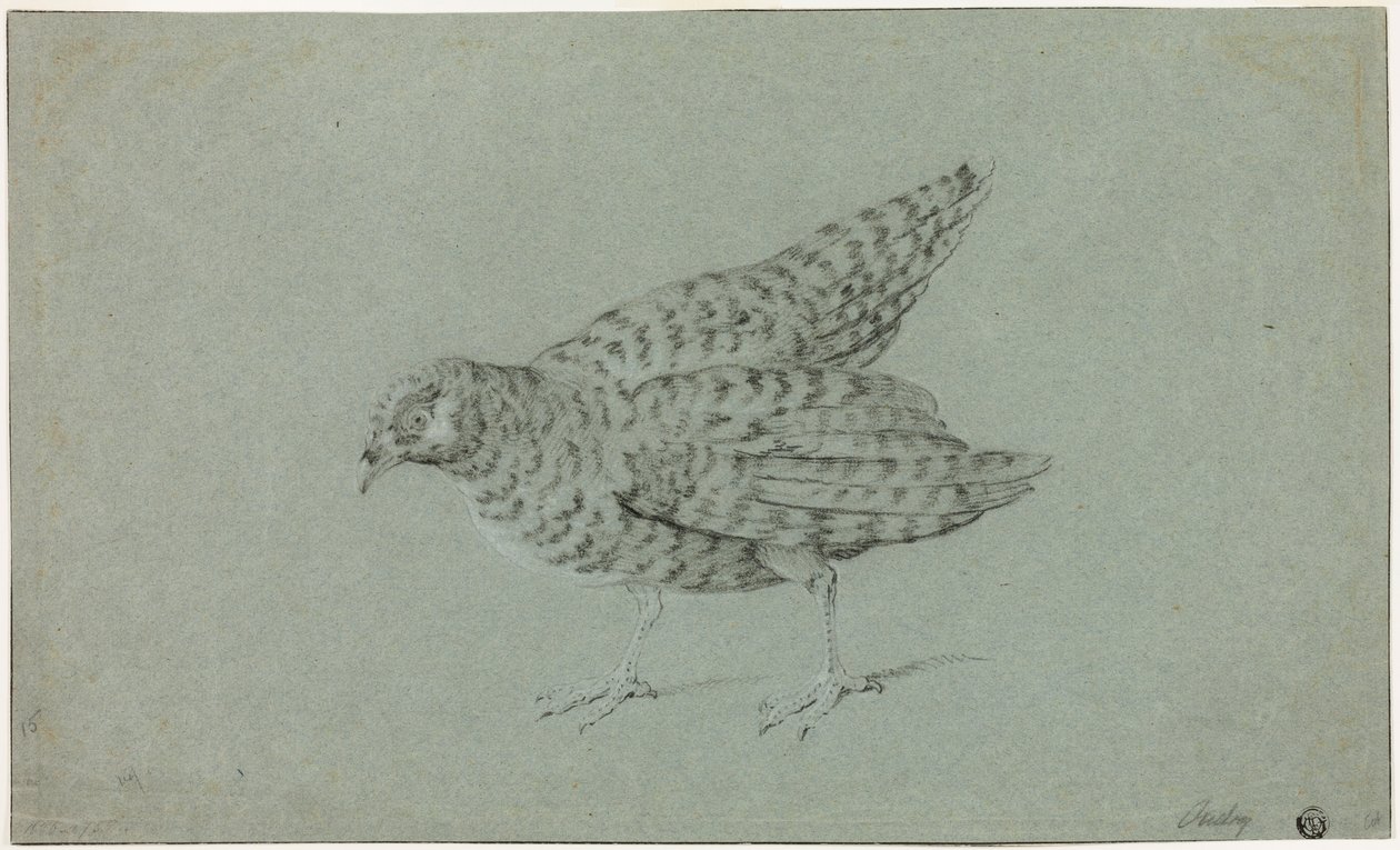 Partridge alkotó: Jean-Baptiste Oudry