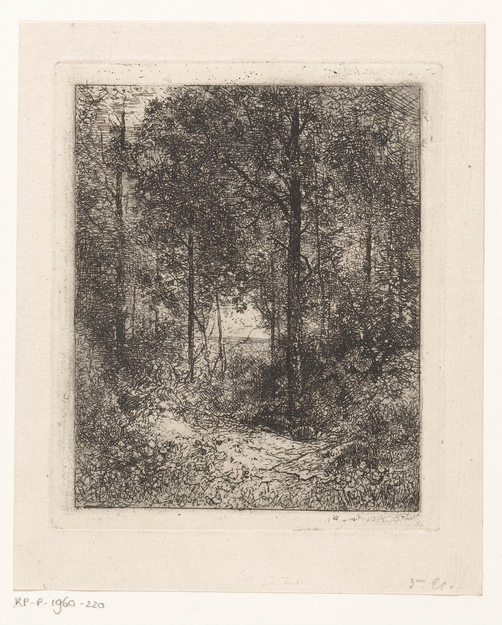 erdő kilátás alkotó: Jean Alexis Achard