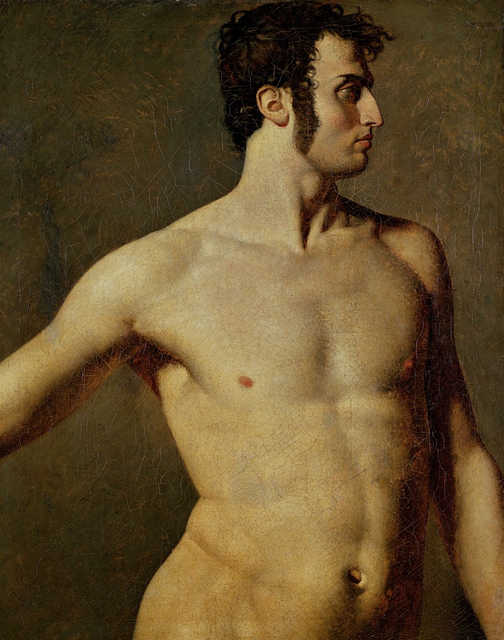 Férfi törzs alkotó: Jean Auguste Dominique Ingres