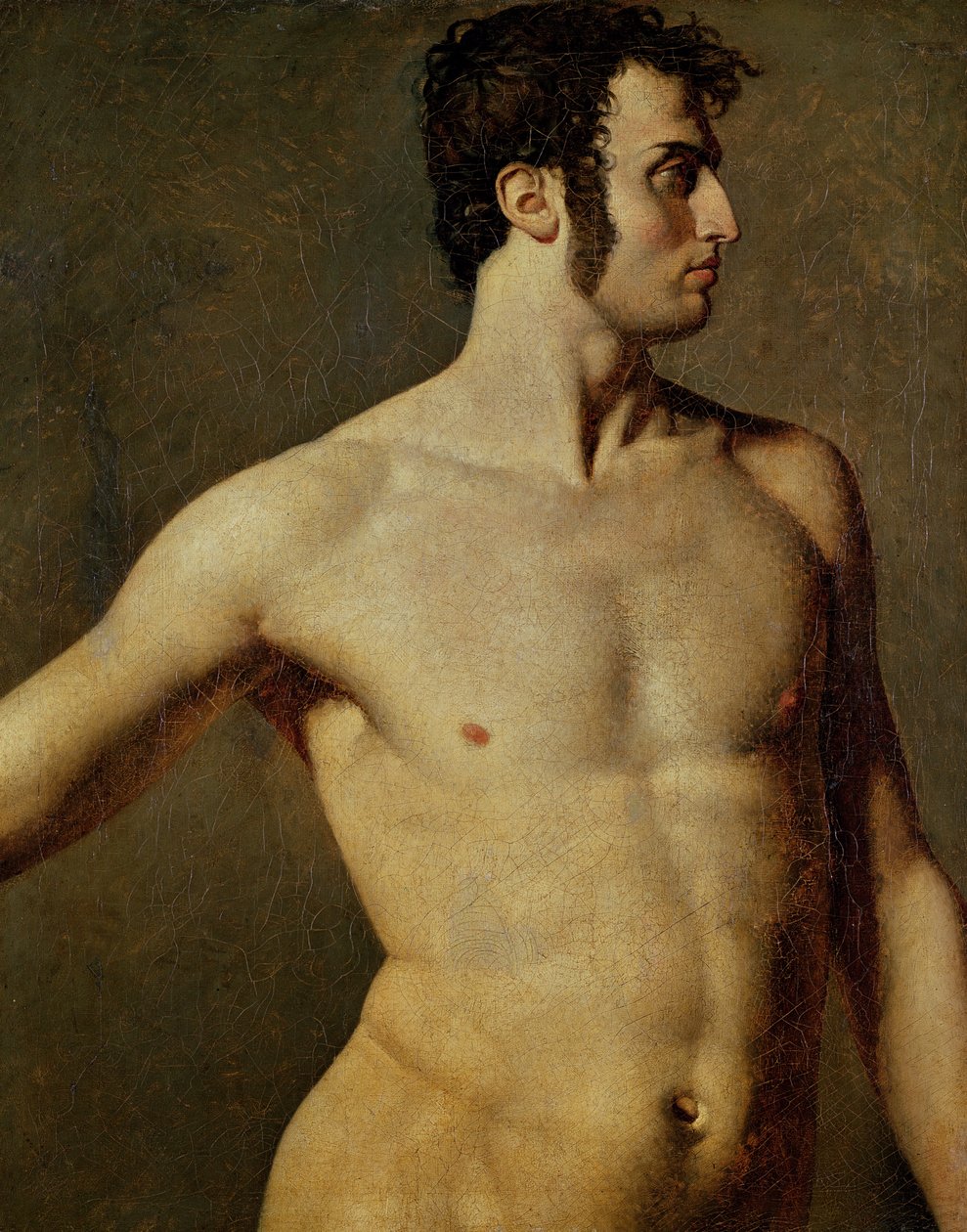 Férfi törzs, 1800 körül (olaj, vászon) alkotó: Jean Auguste Dominique Ingres
