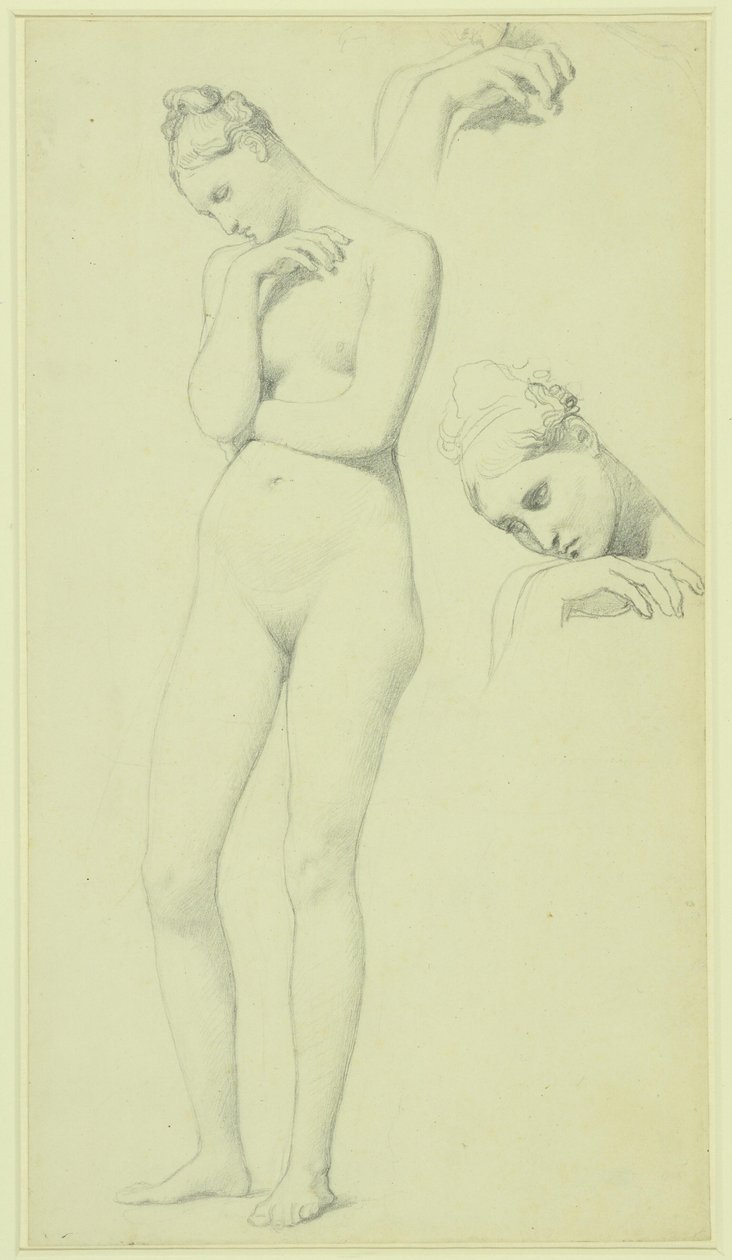 Stratonice figurájának tanulmányai, 1834-40 körül (ceruza, papír) alkotó: Jean Auguste Dominique Ingres