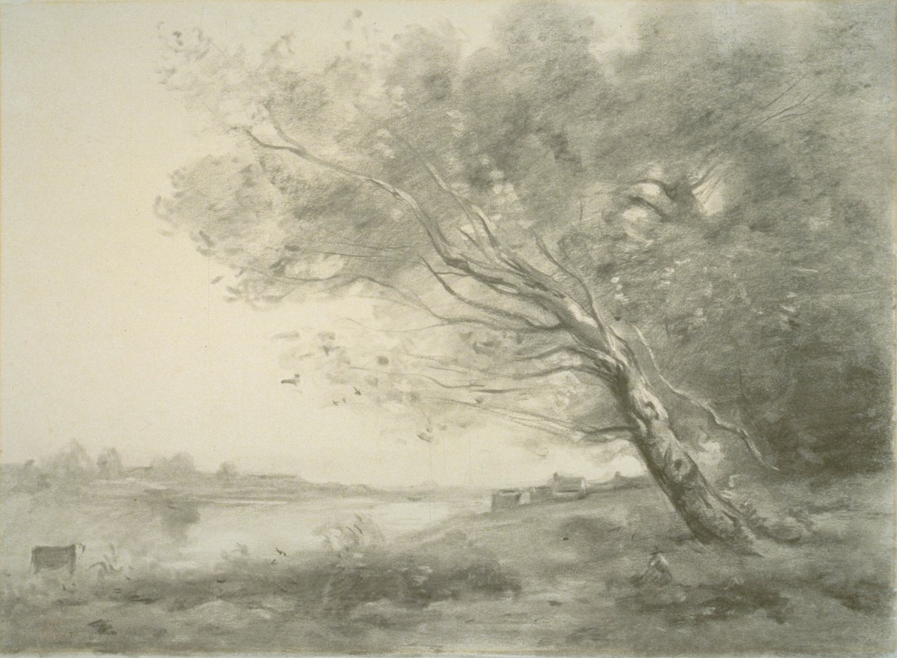 Hajlított fa a víz mellett alkotó: Jean Baptiste Camille Corot