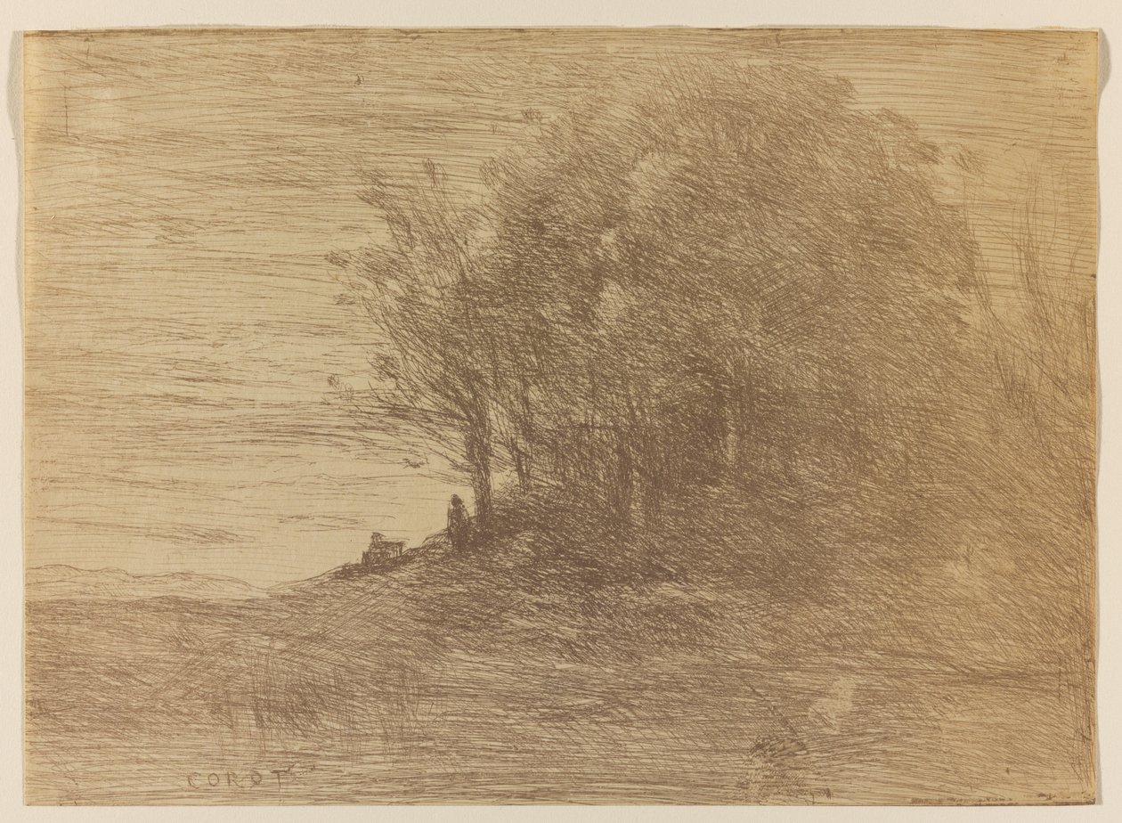 Le Bois de L