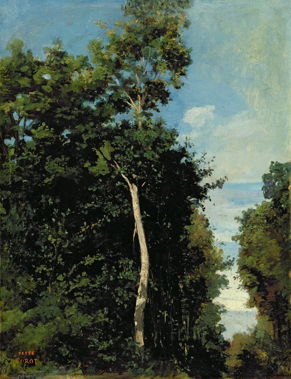 A fa a Cote de Grace-en Honfleurben (olaj, vászon a fedélzeten) alkotó: Jean Baptiste Camille Corot