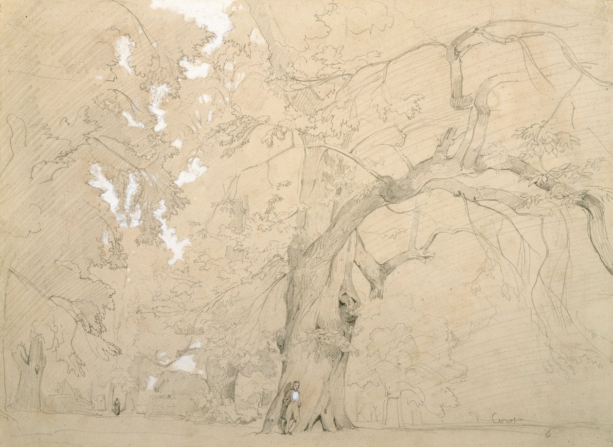 Fiatal férfi egy nagy tölgy előtt, 1840 körül (ceruza és gouache papíron) alkotó: Jean Baptiste Camille Corot