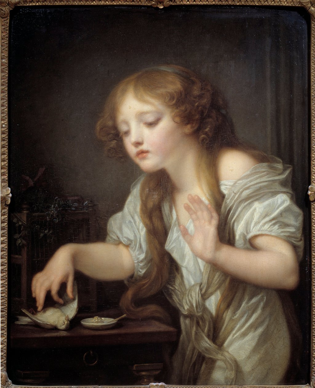 Fiatal lány tétovázik megérinteni egy madarat, mert attól tart, hogy az meghalt vagy az elhullott madár Jean Baptiste Greuze festménye (1725-1805) 1800 V. 0,68x0,55 m alkotó: Jean Baptiste Greuze