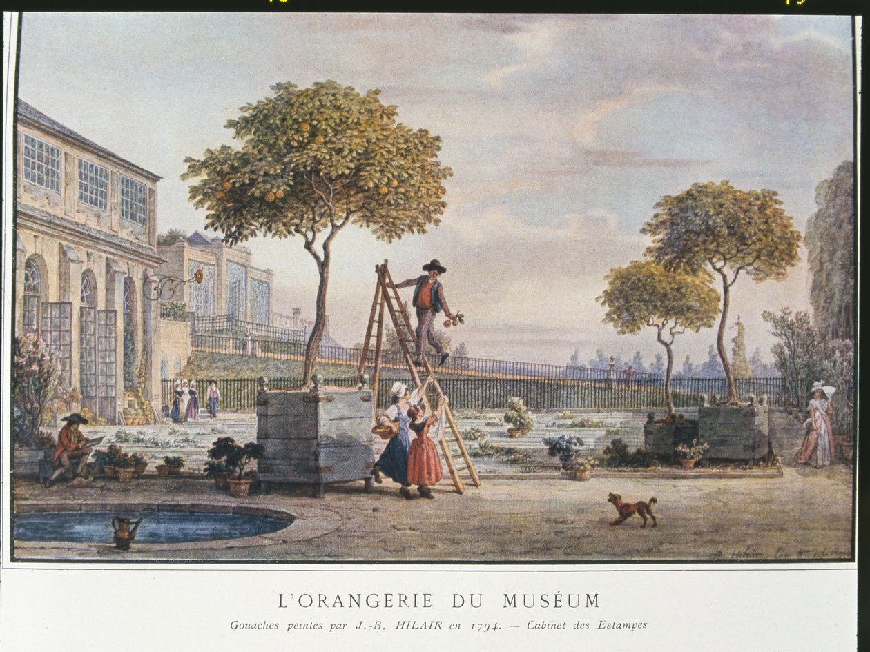 Az Orangerie a párizsi múzeumban 1794-ben alkotó: Jean Baptiste Hilair