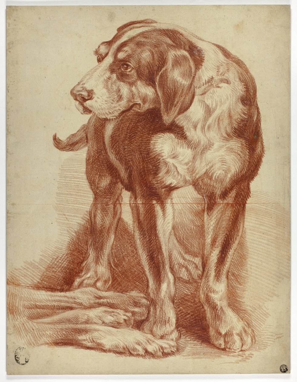 Álló kutya alkotó: Jean Baptiste Huet