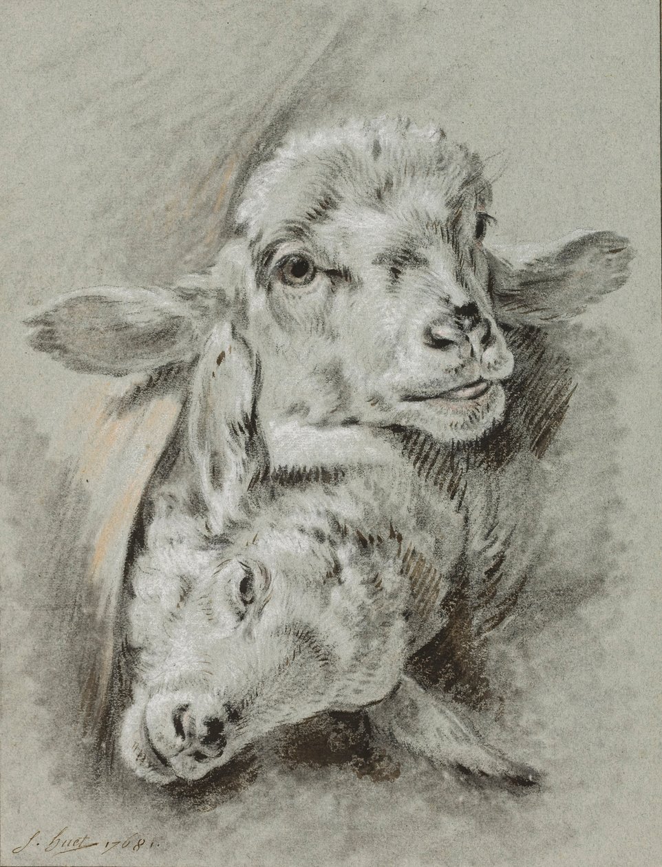 Tanulmány két bárányról, 1768 (kréta és mosás papíron) alkotó: Jean Baptiste Huet