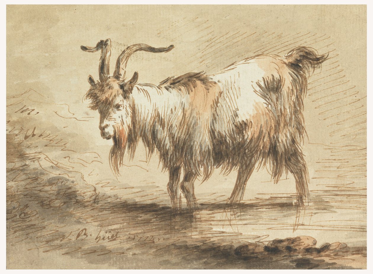 Rajz, Kecske tanulmánya, 1772 alkotó: Jean Baptiste Huet