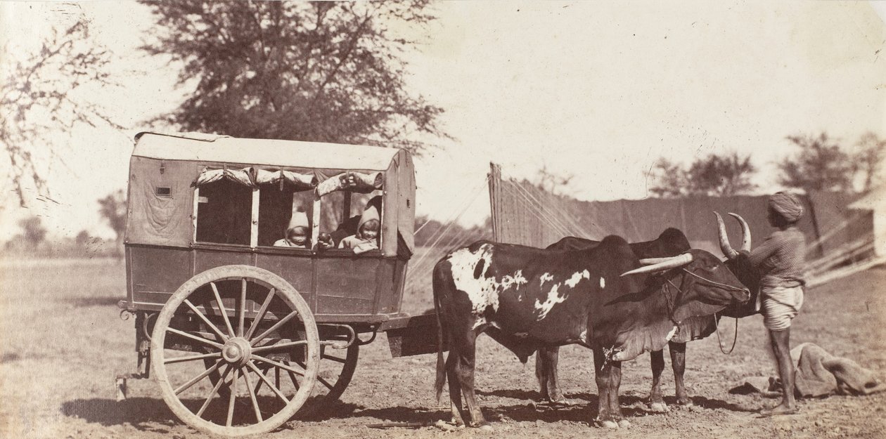 [Campbell Twins in a Shigram, General Governor