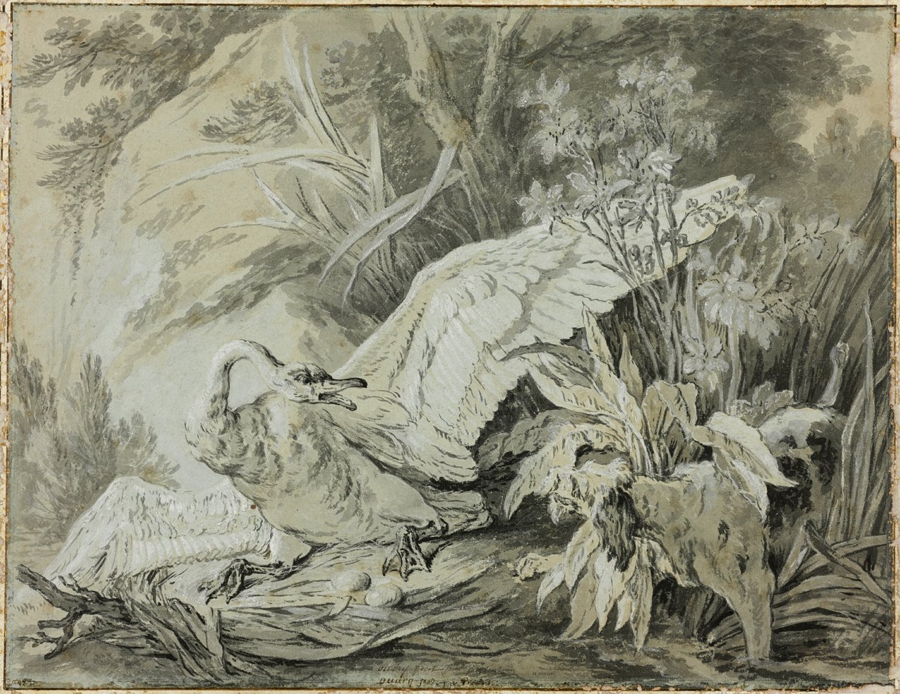 Egy vadhattyút megtámadott egy kutya alkotó: Jean Baptiste Oudry
