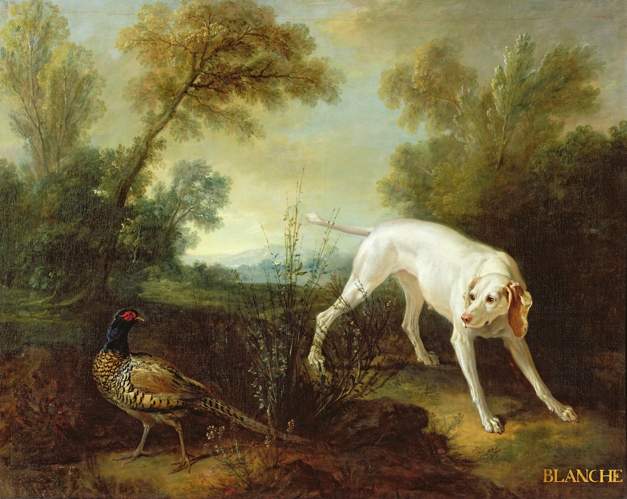 Blanche, a Királyi Vadászfalka szukája alkotó: Jean Baptiste Oudry