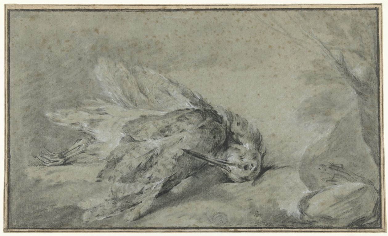 Döglött erdei kakas (Scolopax rusticola) alkotó: Jean Baptiste Oudry