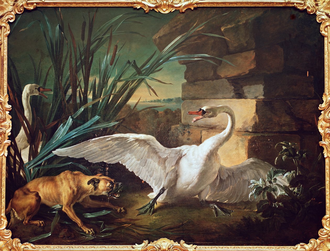 Kutya és hattyúk alkotó: Jean Baptiste Oudry