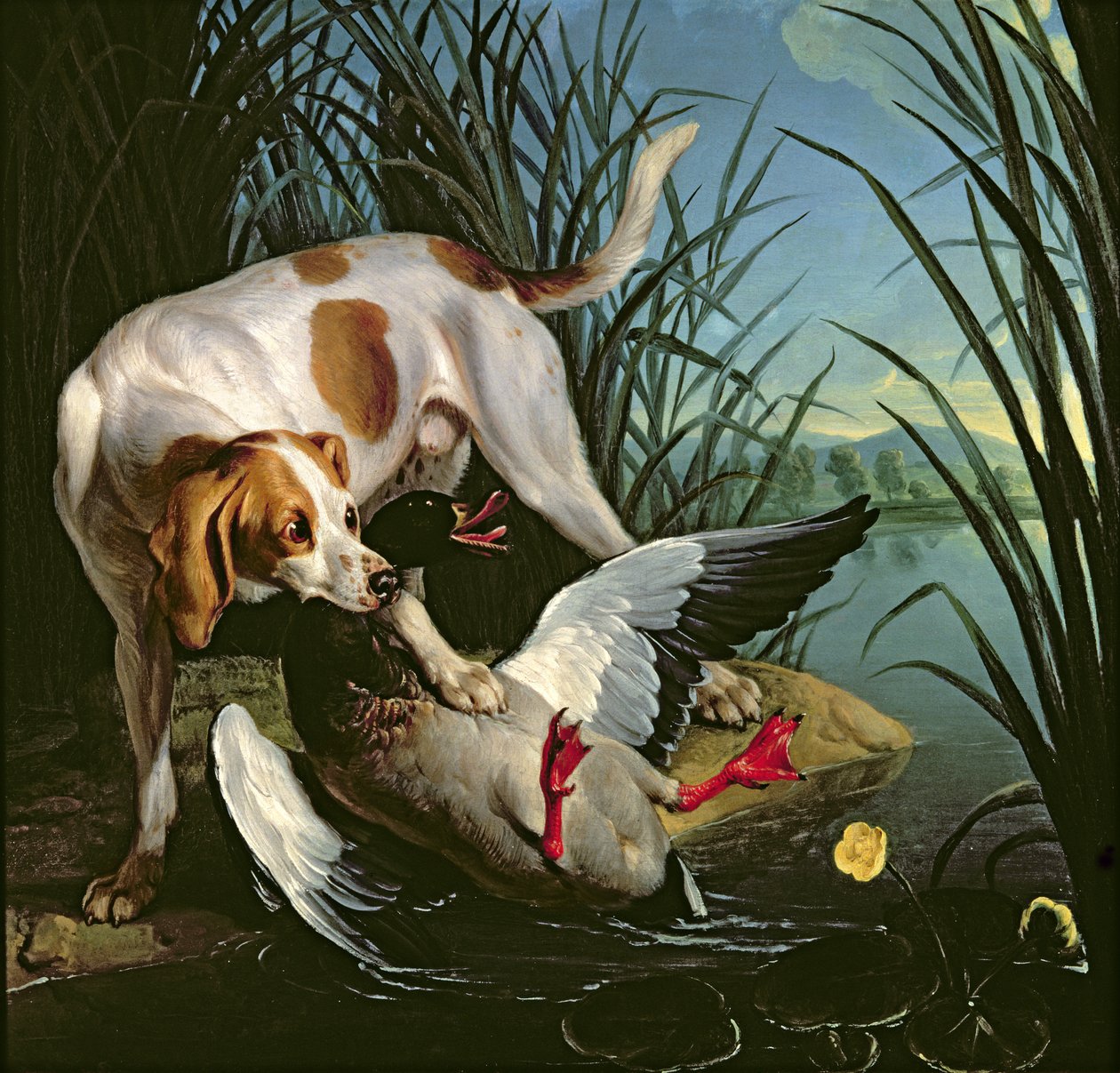 Kutya egy vadkacsával alkotó: Jean Baptiste Oudry