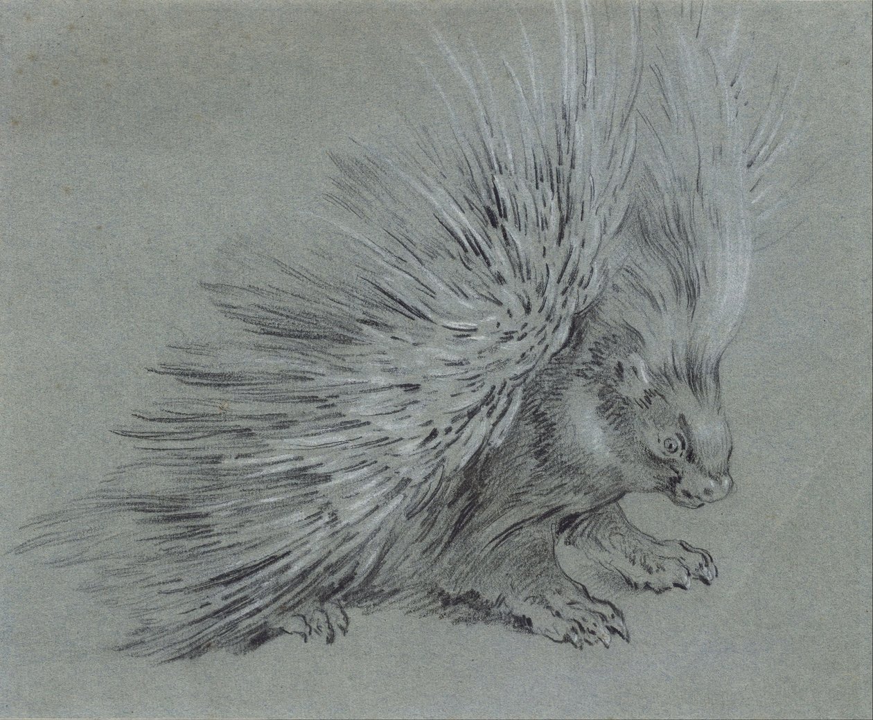 Porcupine alkotó: Jean Baptiste Oudry
