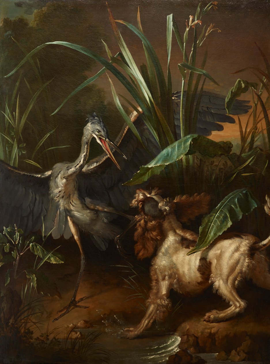Vízi spániel szembeszáll egy kócsaggal alkotó: Jean Baptiste Oudry