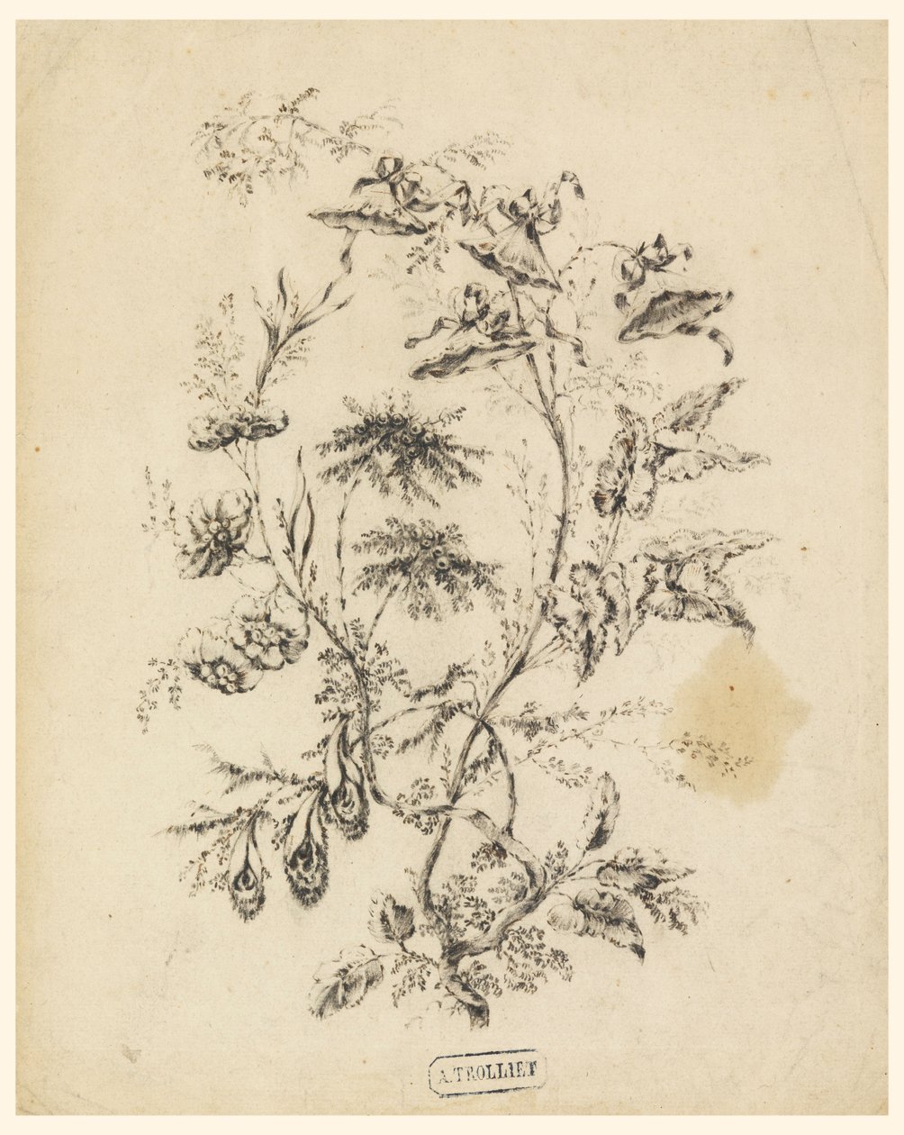 Rajz, Egy fantasztikus fa ága, 1775-1800 alkotó: Jean Baptiste Pillement