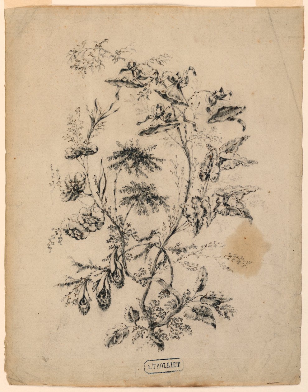 Rajz, Egy fantasztikus fa ága, 1775-1800 alkotó: Jean Baptiste Pillement