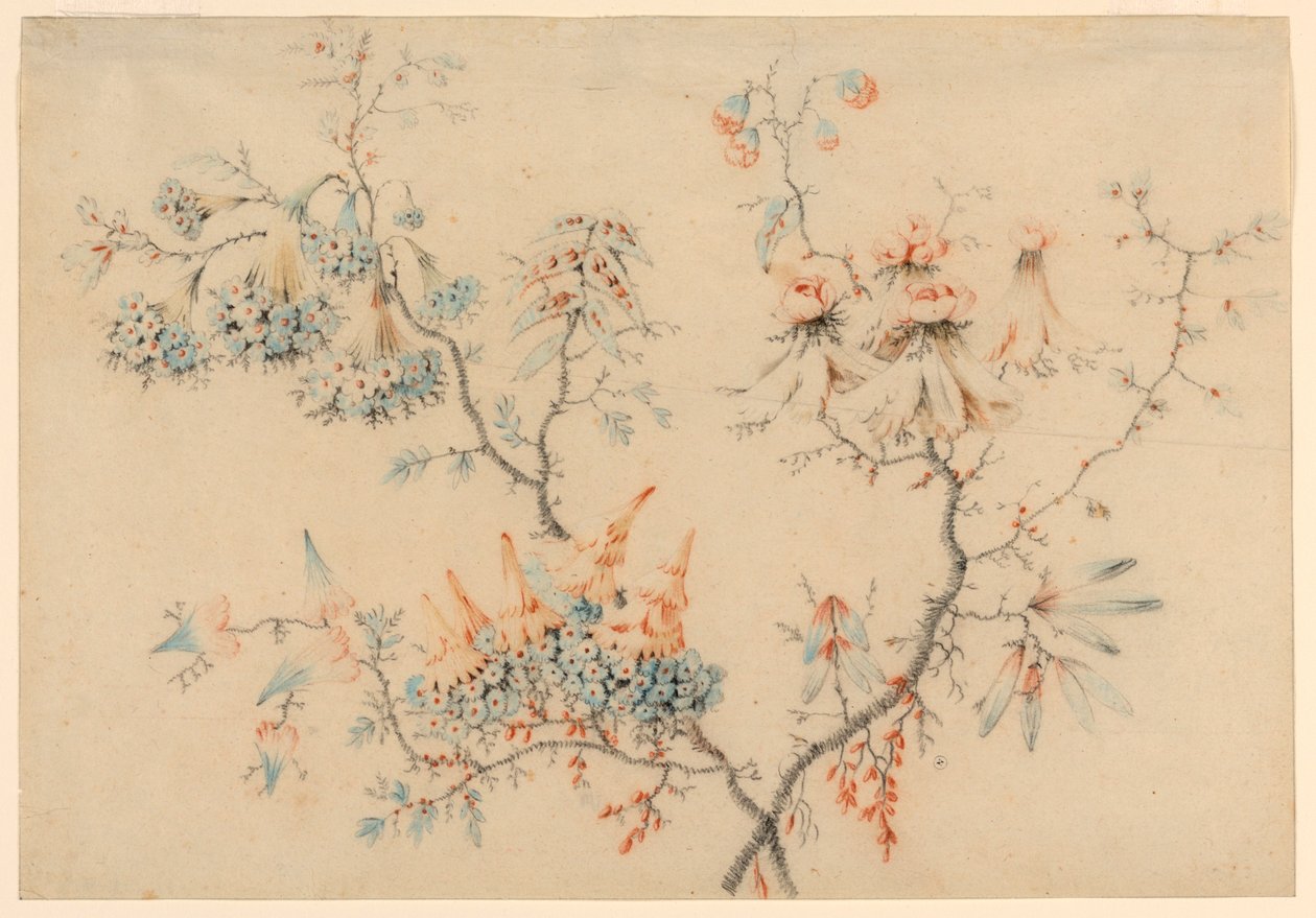 Rajz, Virágzó ágak, 1775-1800 alkotó: Jean Baptiste Pillement