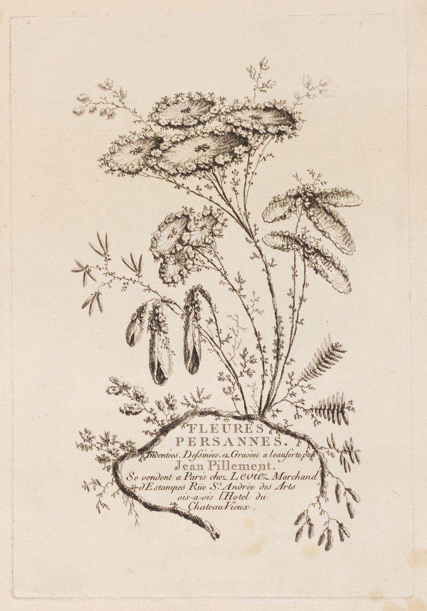 Címlap, a "Persian Flowers"-ből alkotó: Jean Baptiste Pillement