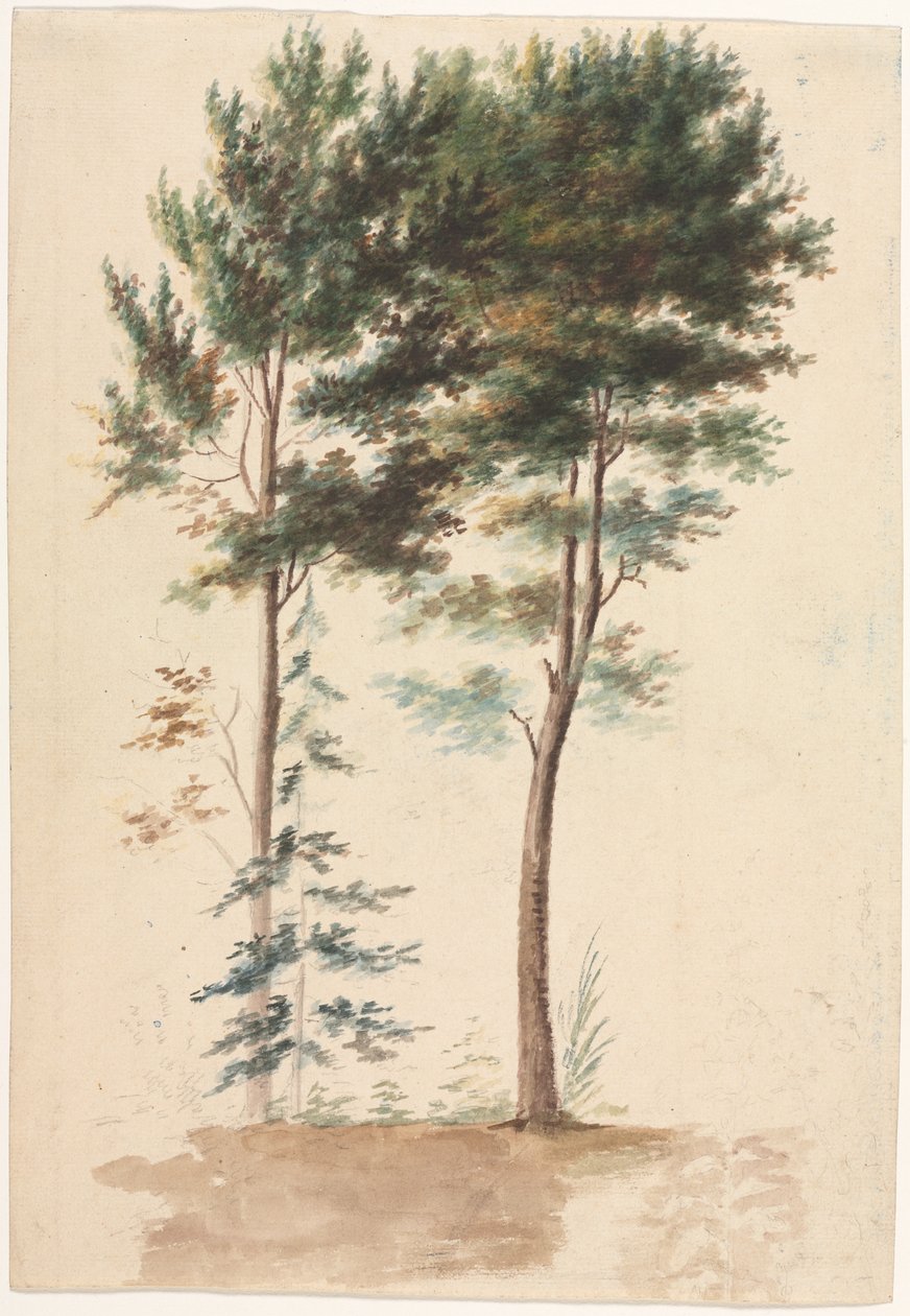 Fák, 1700-as évek. alkotó: Jean Baptiste Pillement