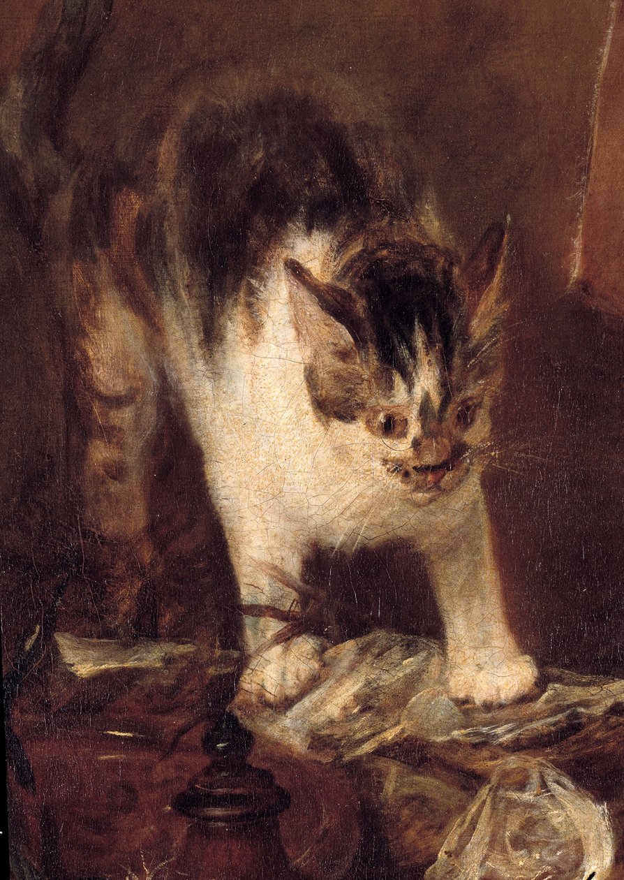 A csendélet korcsolya halak, osztriga, kancsó. Macska részlet. Jean Baptiste Simeon Chardin (1699-1779) festménye 1727 V. 1,14 x 1,46 m Párizs. Louvre múzeum alkotó: Jean Baptiste Simeon Chardin