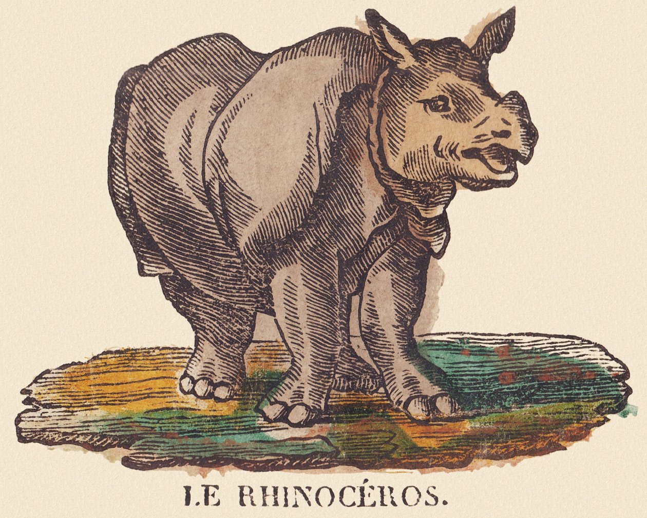 Az orrszarvú, 1840-1852 körül (litográfia) alkotó: Jean Baptiste Thiebault