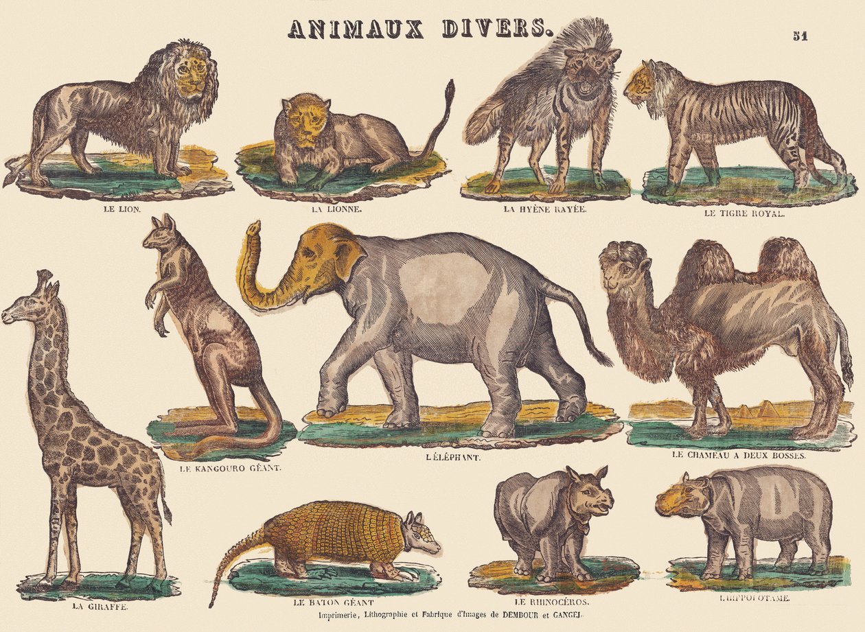 Különböző állatok, 1840-1852 körül (litográfia) alkotó: Jean Baptiste Thiebault