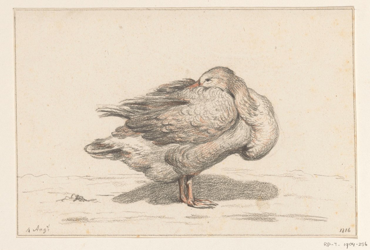 Gans alkotó: Jean Bernard