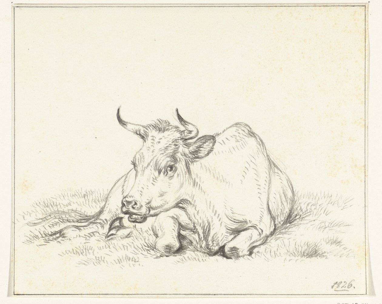 Fekvő tehén, elölről alkotó: Jean Bernard