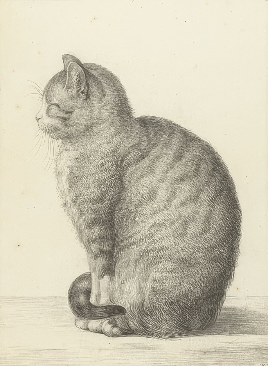 Ülő macska, balra. 1815 alkotó: Jean Bernard