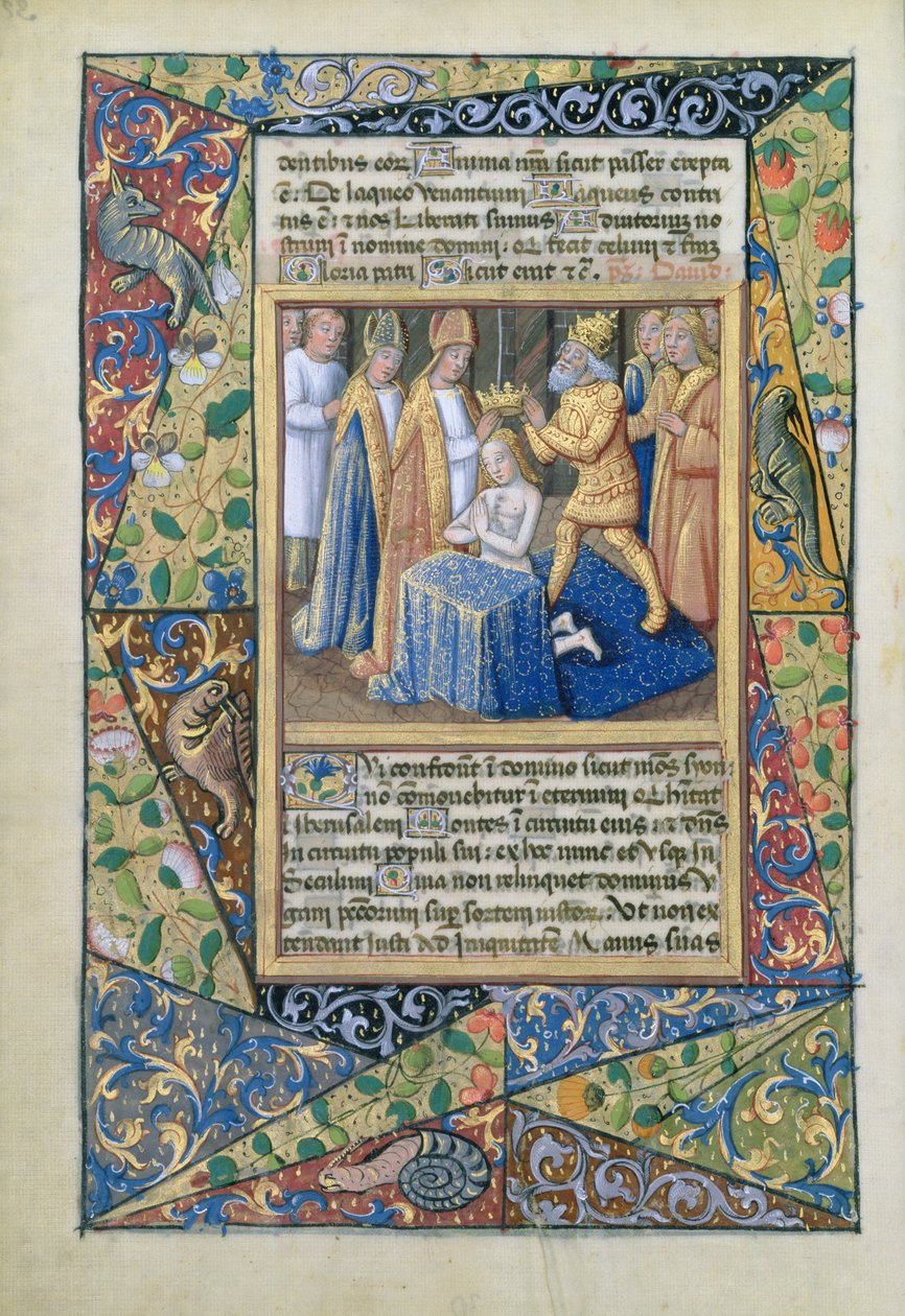 Ms Lat. Q.v.I.126 f.32v David megkoronázása, Louis dOrleans óráinak könyvéből, 1490 alkotó: Jean Colombe