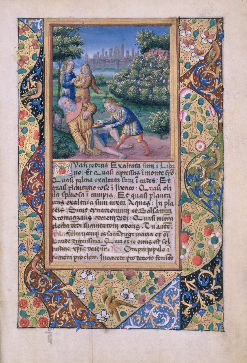 Ms Lat. Q.v.I.126 fol.17 Noé részegsége, Louis dOrleans óráinak könyvéből, 1490 alkotó: Jean Colombe